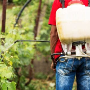 3-Landscaping-Services-Portfolio_Li-Fong’s-Portfolio--See-the-Extent-of-Our-Handyman-Skills_350x350