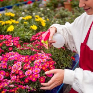 5-Landscaping-Services-Portfolio_Li-Fong’s-Portfolio--See-the-Extent-of-Our-Handyman-Skills_350x350