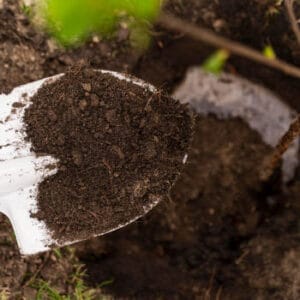 7-Landscaping-Services-Portfolio_Li-Fong’s-Portfolio--See-the-Extent-of-Our-Handyman-Skills_350x350