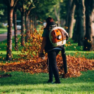 Landscaping Services