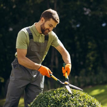 Landscape Maintenance