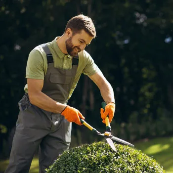 Image 12: Landscape Maintenance