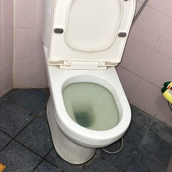 Bathroom Toilet Choke