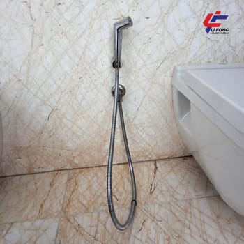 Bidet installation replacement