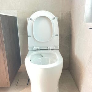 Clear toilet choking