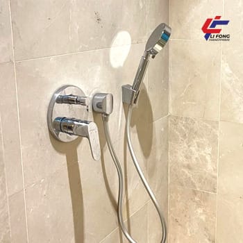 Shower Leak Repair