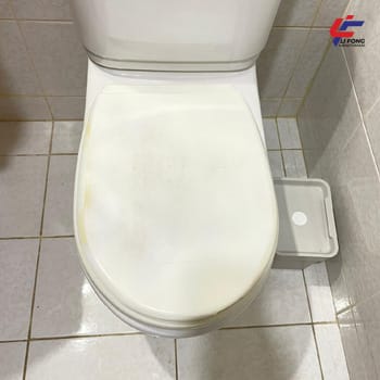 Toilet bathroom leaking issues solution