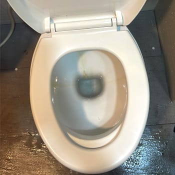 Toilet Bowl Choke