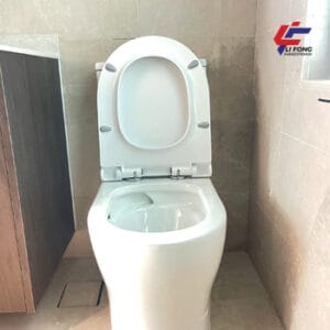 Toilet bowl installation & replacement