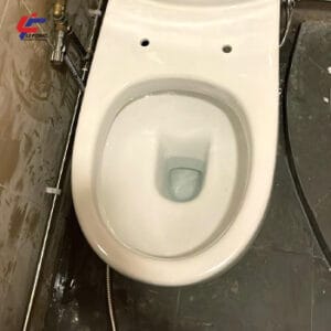 Plumbing Services in Singapore 25 Toilet & Toilet bowl leak repair