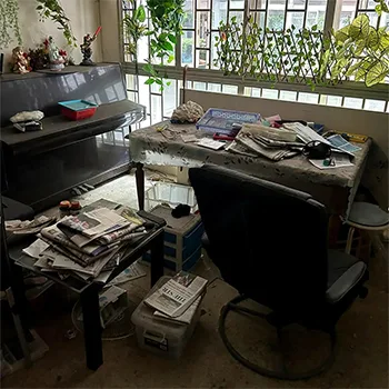 Image 13: Dismantling-disposal-clearing-house-or-office